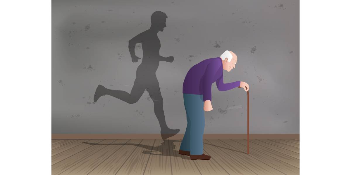 					Ansehen Bd. 1 Nr. 1 (2026): BerMedJ-Berlin Medical Journal
				